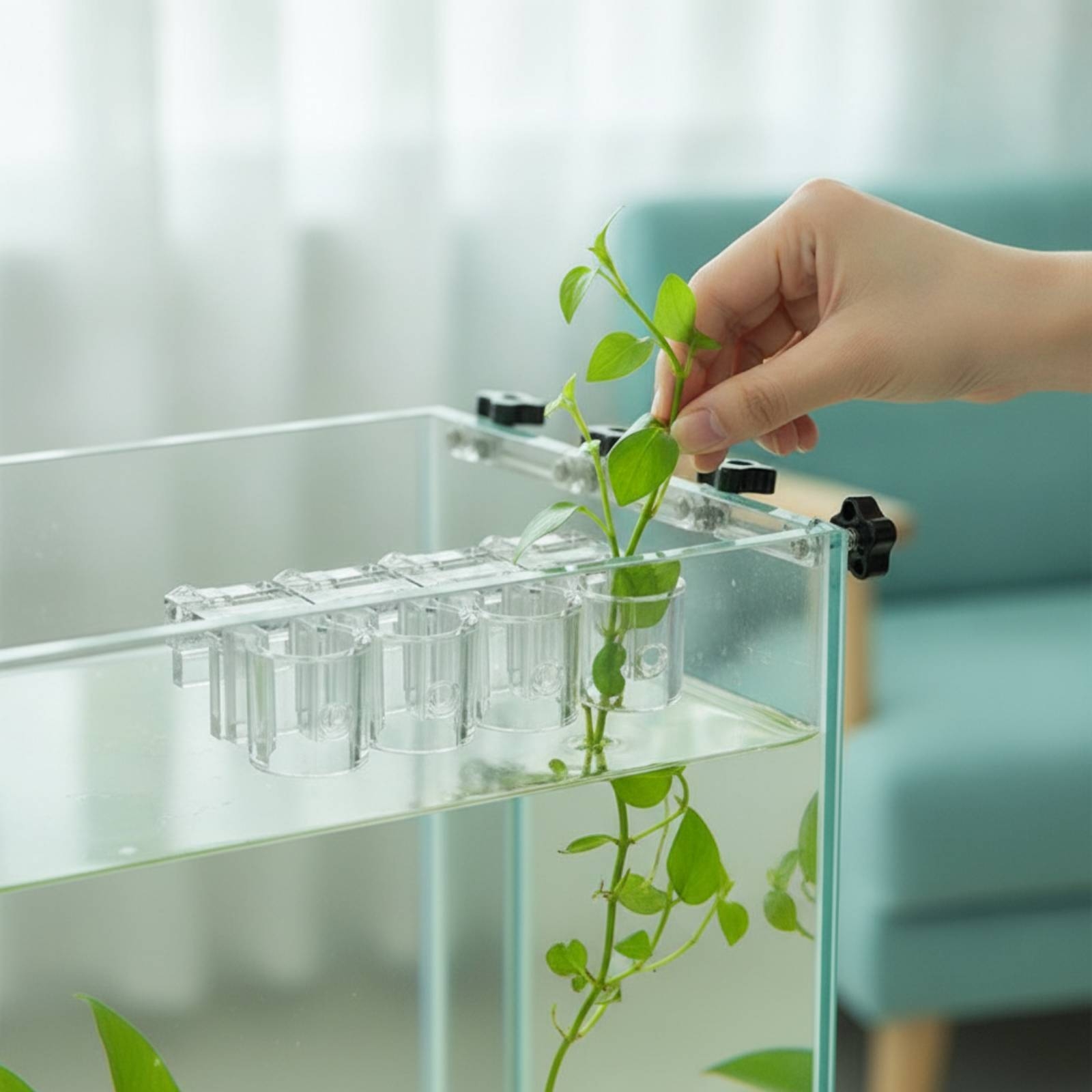 Aquarium Planting - 6 Pieces Aquarium Planter Clear Hydroponic