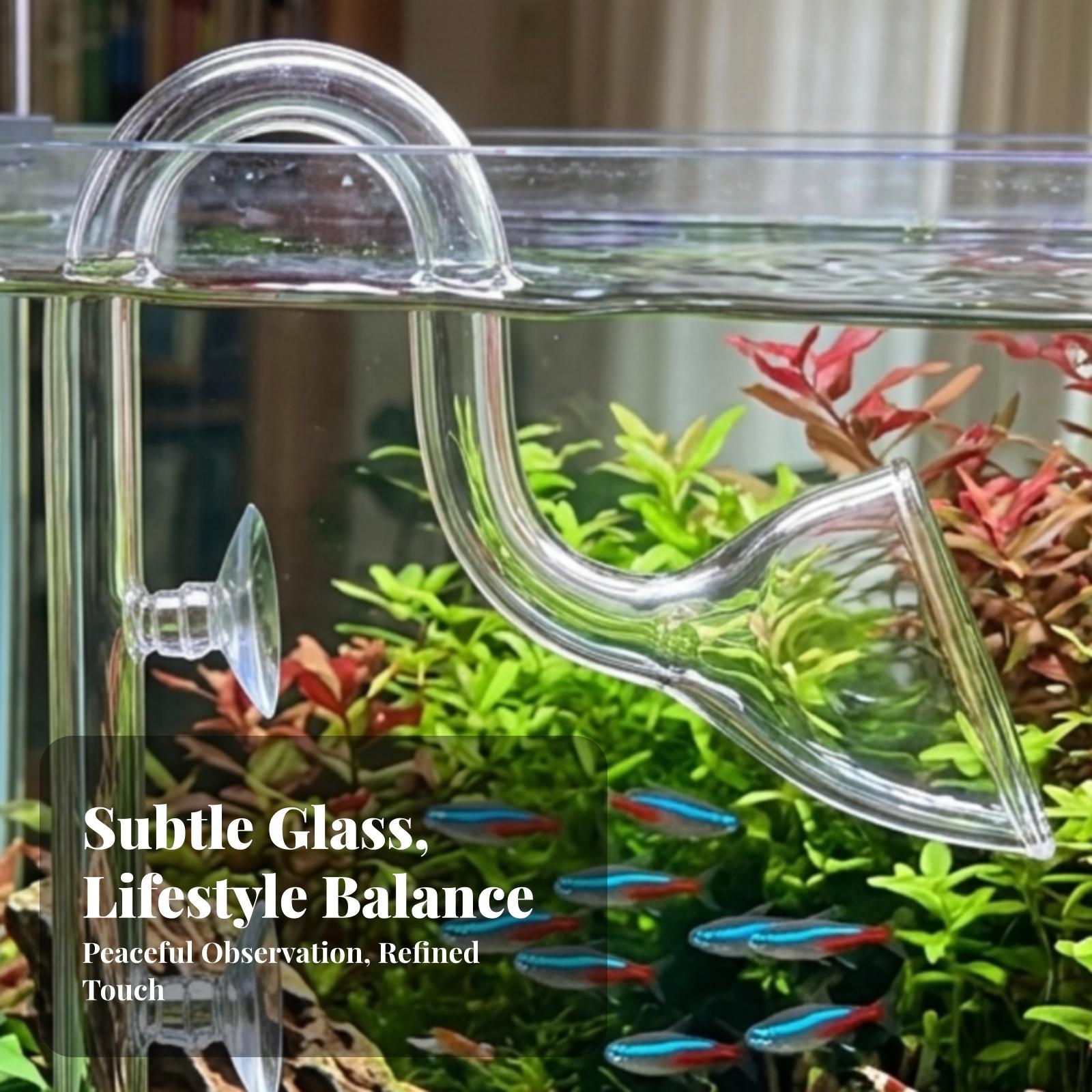 Planted Aquarium Aquascape - Aquarium Filter Inlet and Outlet Transparent