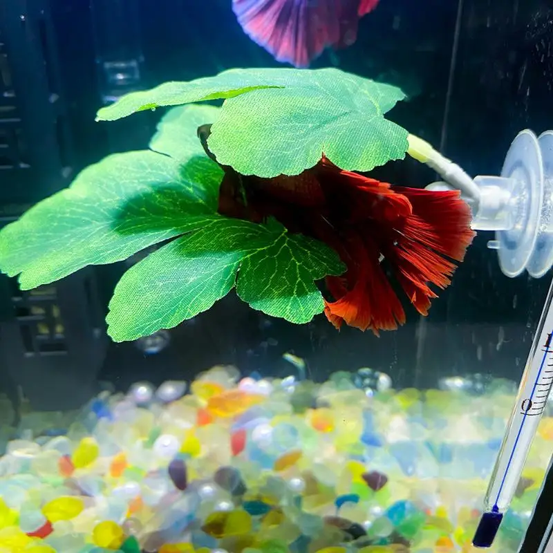 Planted Aquarium Betta - Betta Fish Leaf Hammock Aquarium Decorative