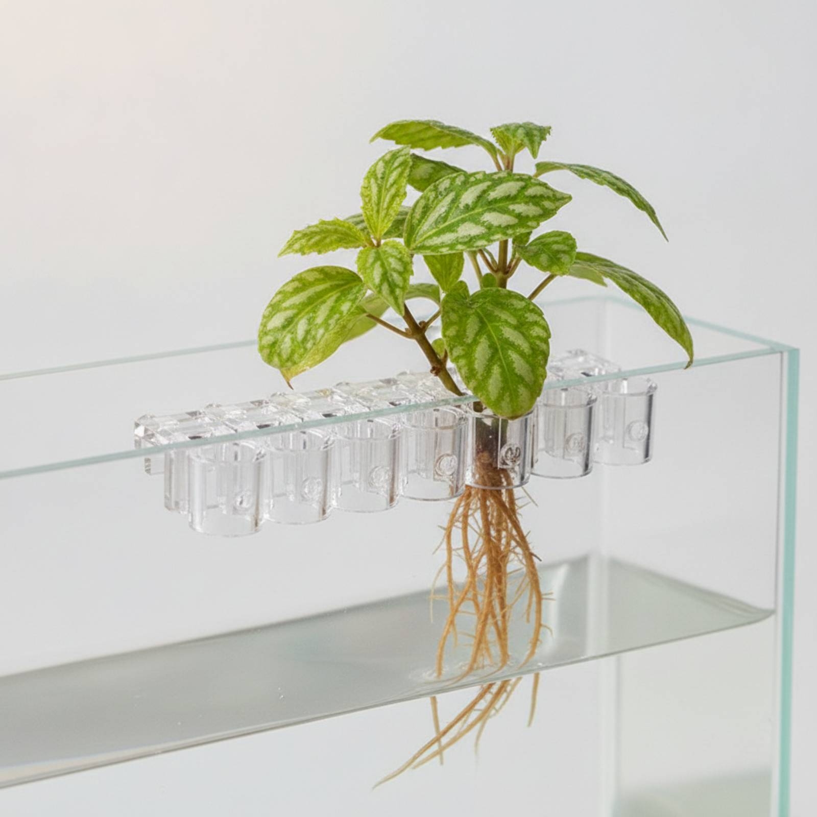 6 Pieces Aquarium Planter Clea - Aquarium Planting review and price