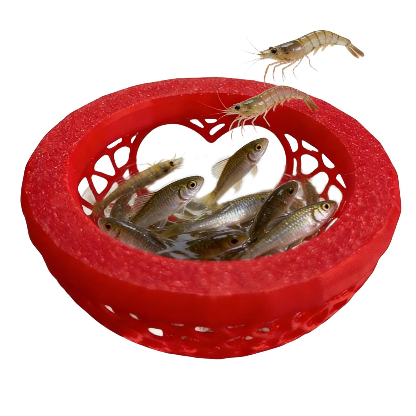 Floating betta shelter Betta h - Planted Aquarium Betta review and price