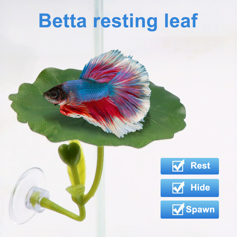 1 Pc Green Leaf Hammock For Be - Planted Aquarium Betta review and price
