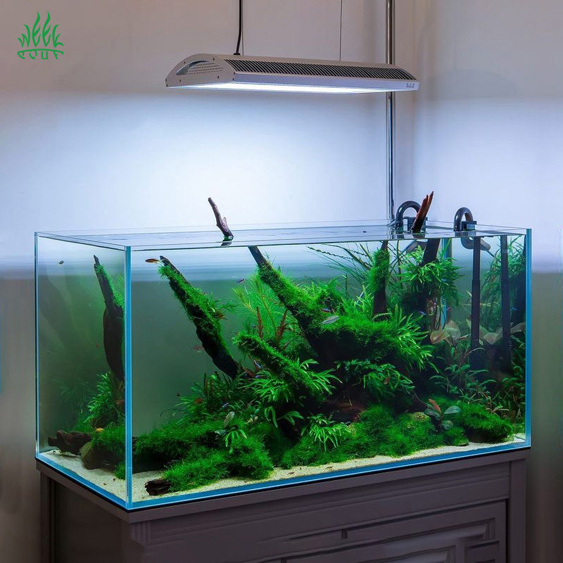 Week Aqua A430Pro LED Aquarium - Planted Aquarium Aquascape review and price
