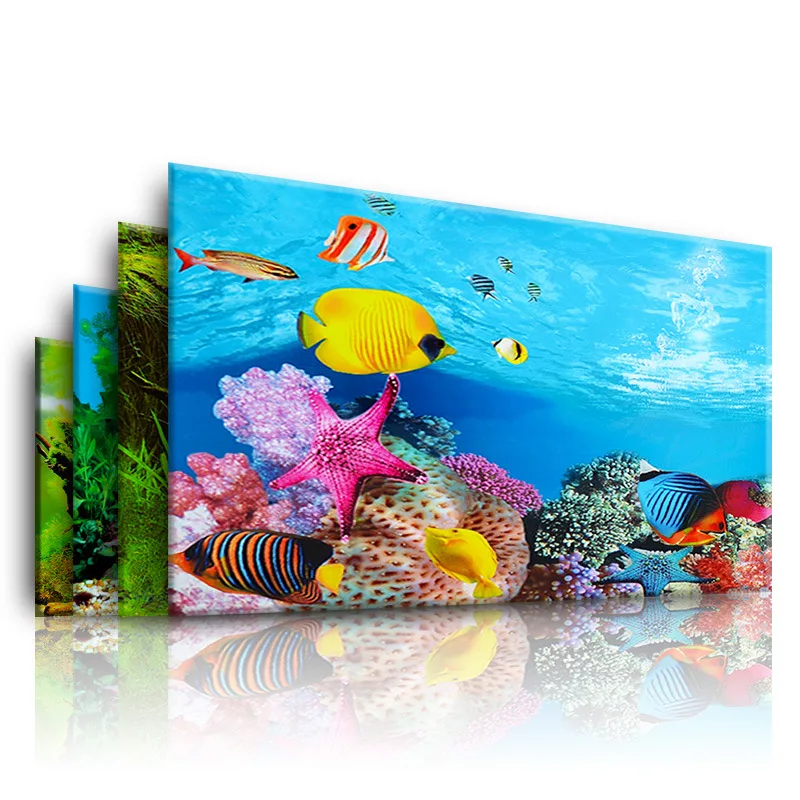 Background for Aquarium 3d  St - Planted Aquarium Aquascape review and price