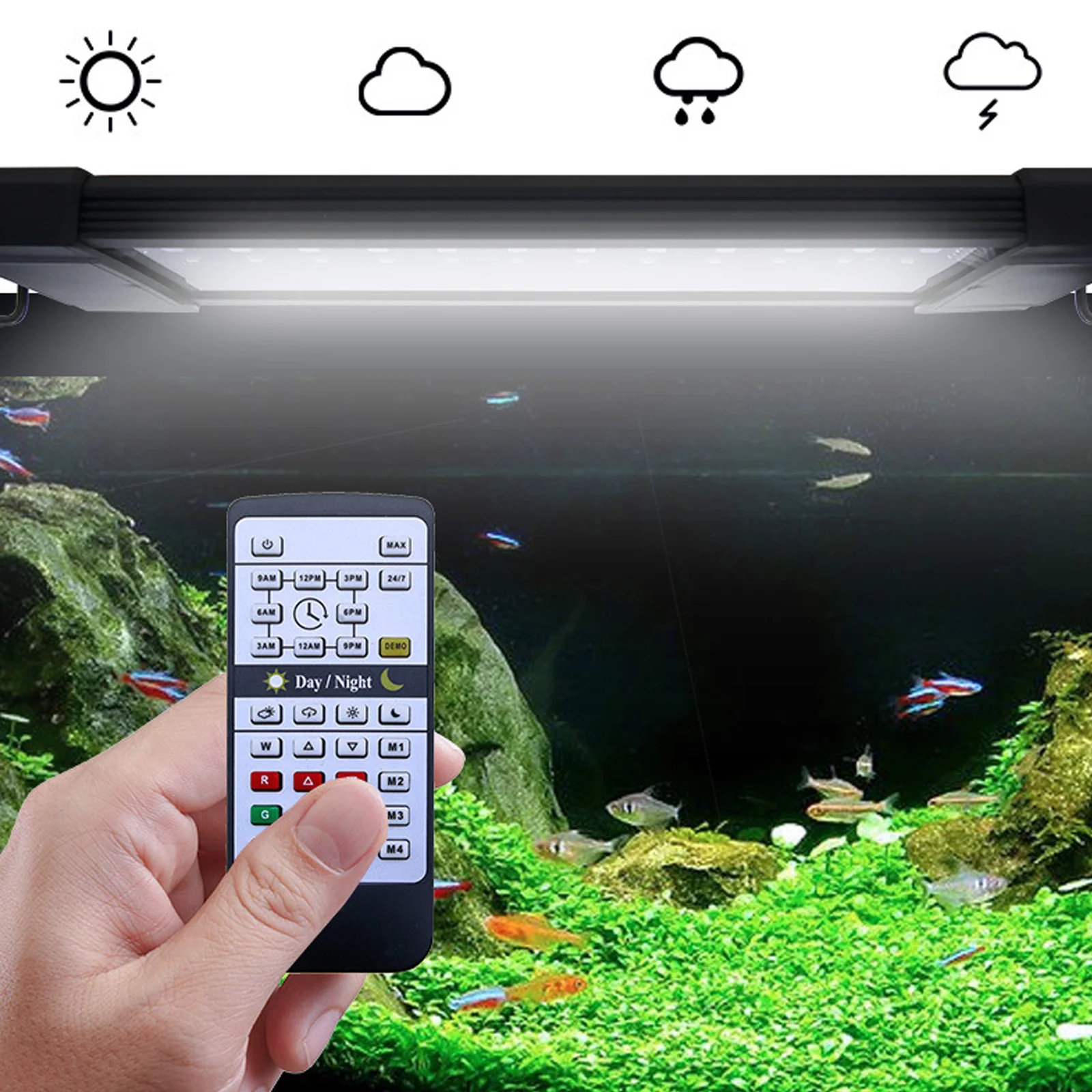 Liweida 24 Hours Natural Light - Planted Aquarium Hours review and price
