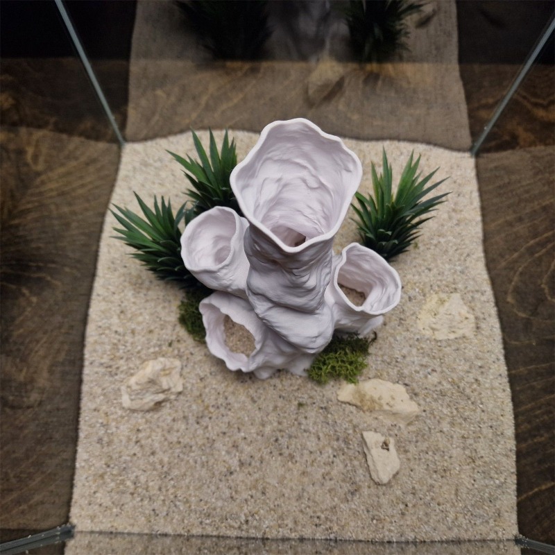 Hot Sale 3D Printed Coral Tunn - Planted Aquarium Betta review and price