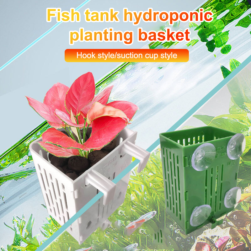 Hanging Suction Cup Hook Aquar - Planted Aquarium Aquascape review and price