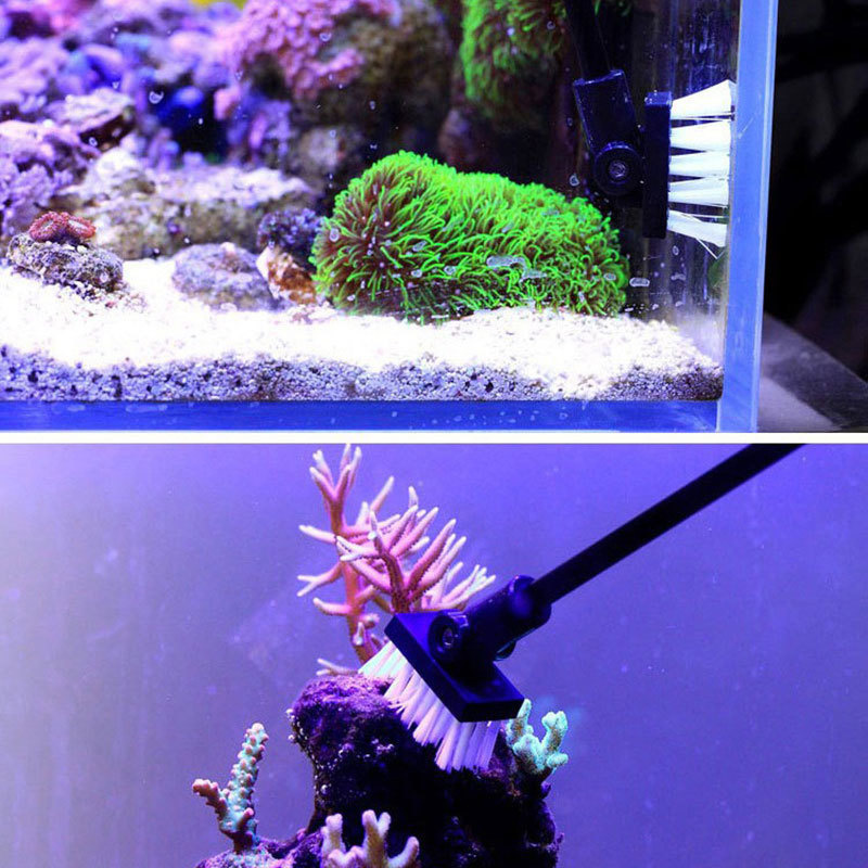 Fishing Cleaning Brush Plant T - Planted Aquarium Tools review and price