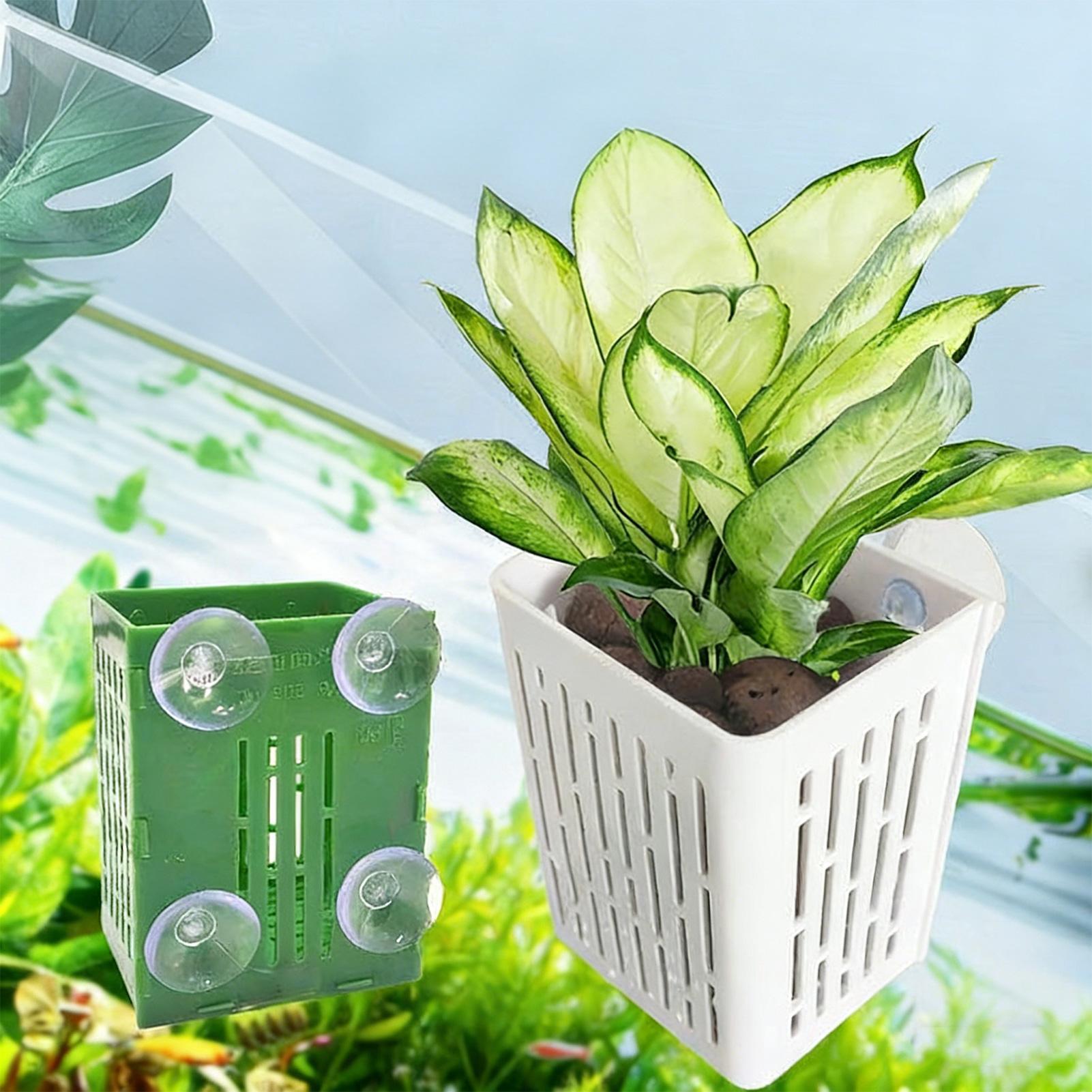 5pcs Aquarium Plant Holder Fis - Planted Aquarium Aquascape review and price
