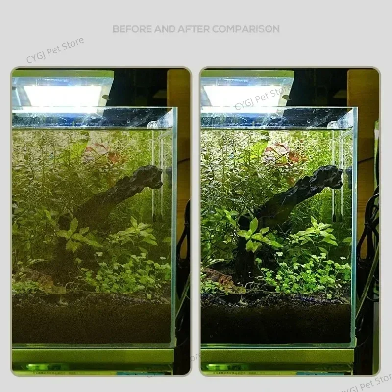 Fish Tank Cleaning Tool Flat S - Planted Aquarium Tools review and price