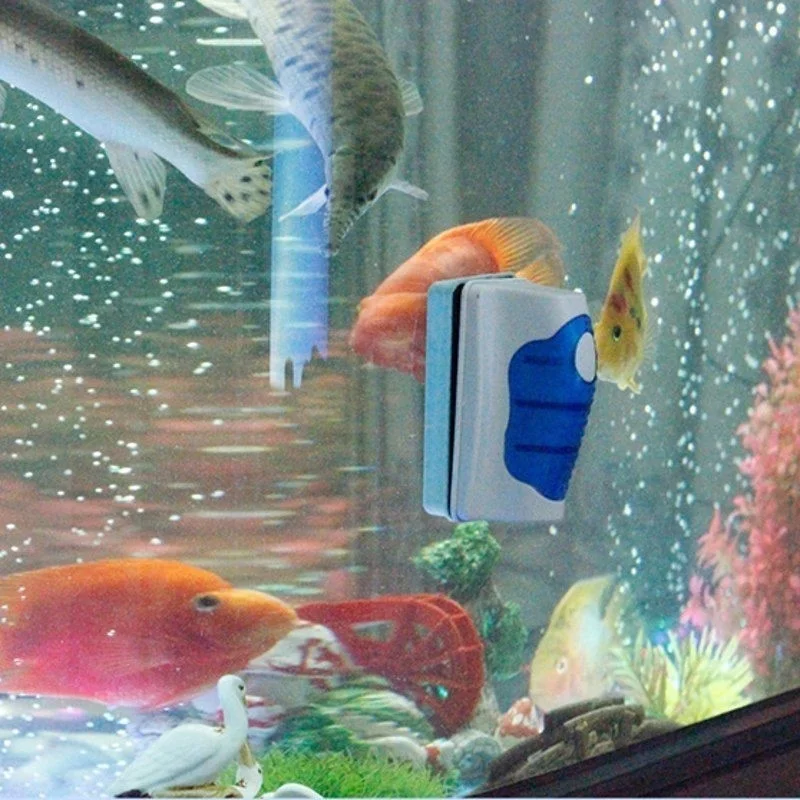 Fish Tank Glass Scraper Cleane - Planted Aquarium Tools review and price