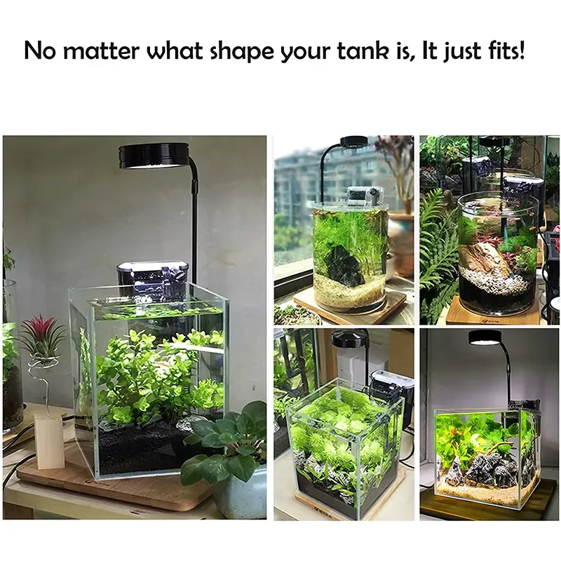 Full Spectrum LED Light with B - Planted Aquarium Betta review and price