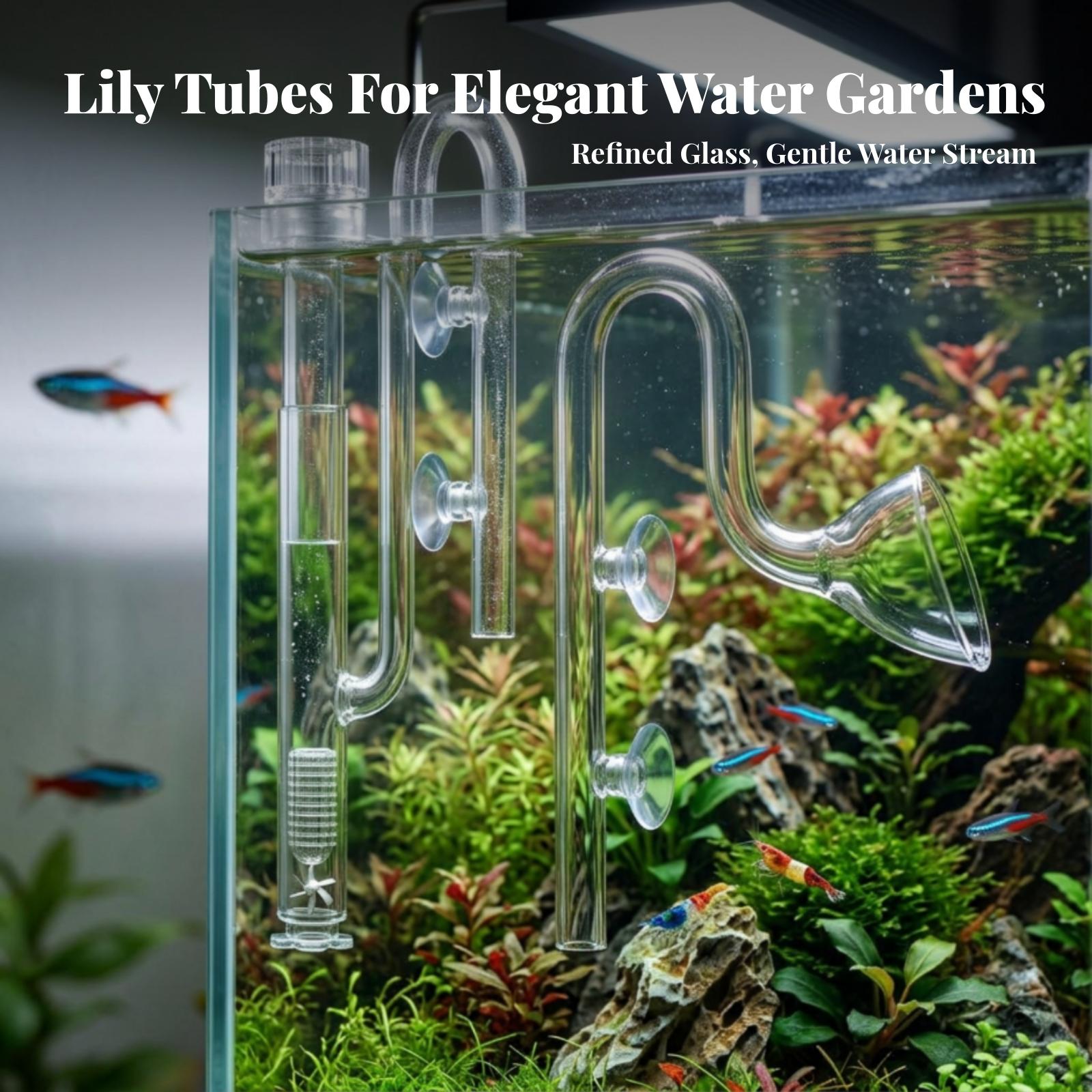 Aquarium Filter Inlet and Outl - Planted Aquarium Aquascape review and price