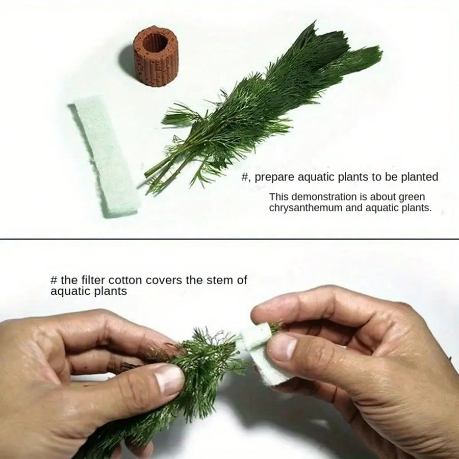 Resting Leaves, Spawning Leave - Planted Aquarium Betta review and price