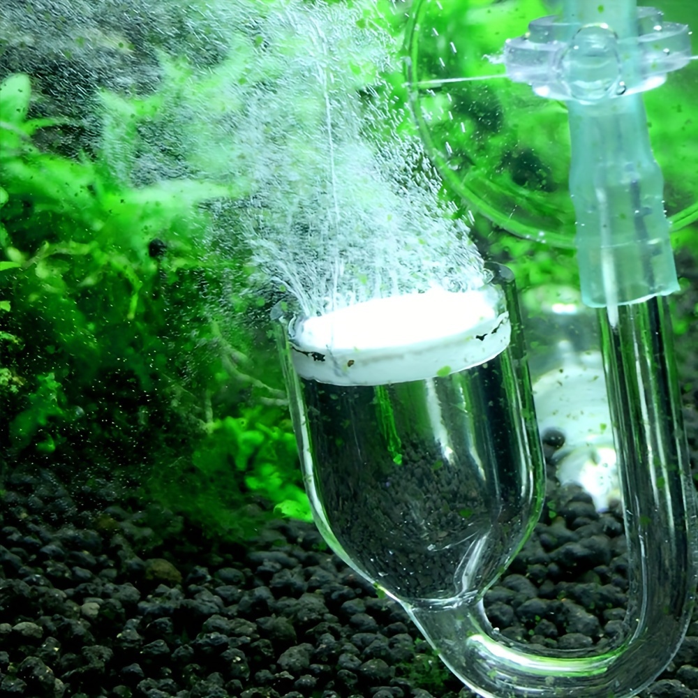 Aquarium Glass CO2 Atomizer Di - Planted Aquarium Equipment review and price