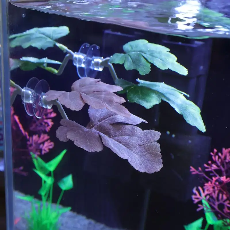 Betta Fish Leaf Hammock Aquari - Planted Aquarium Betta review and price