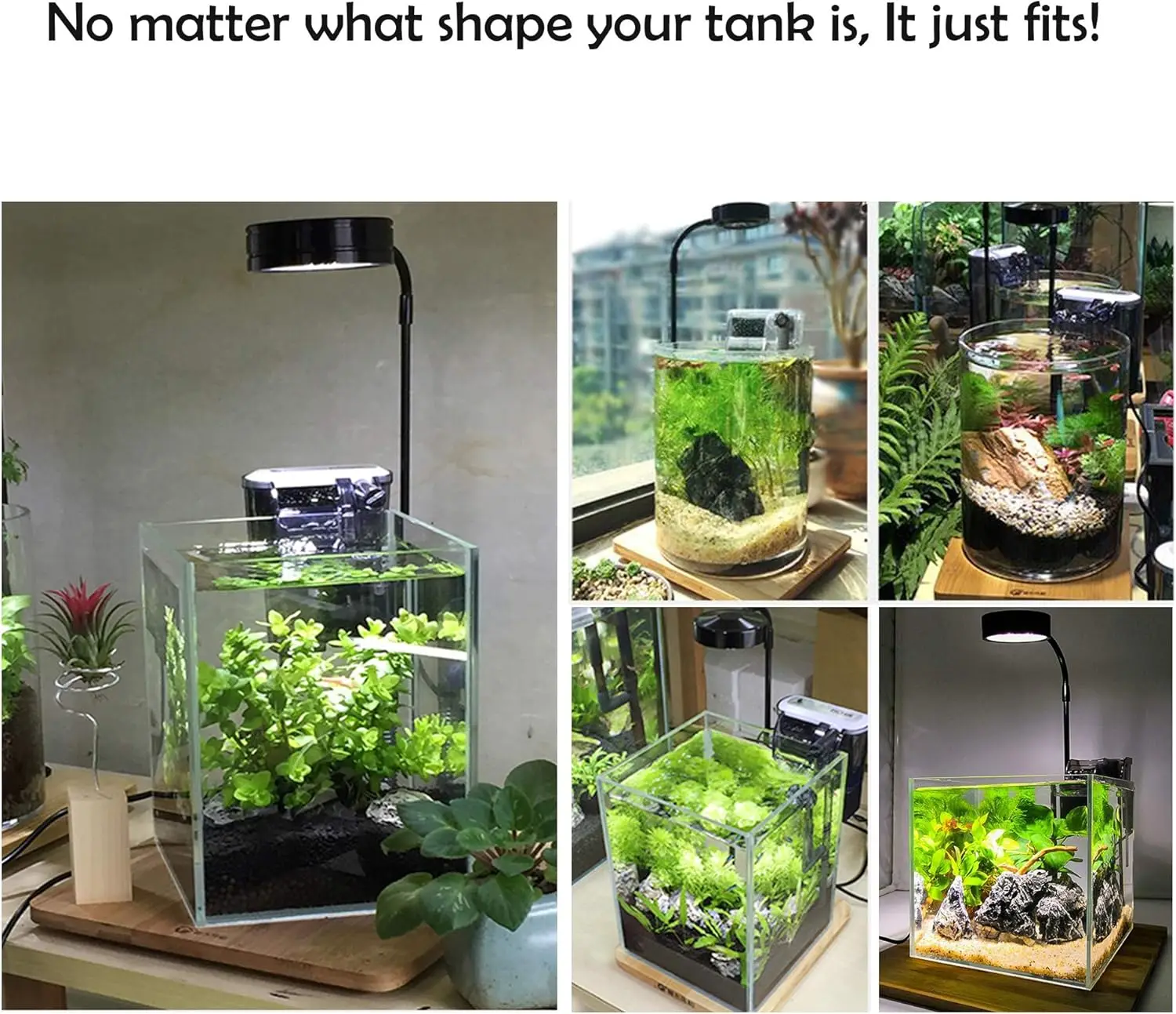 LED Aquarium Grow Light with B - Planted Aquarium Betta review and price