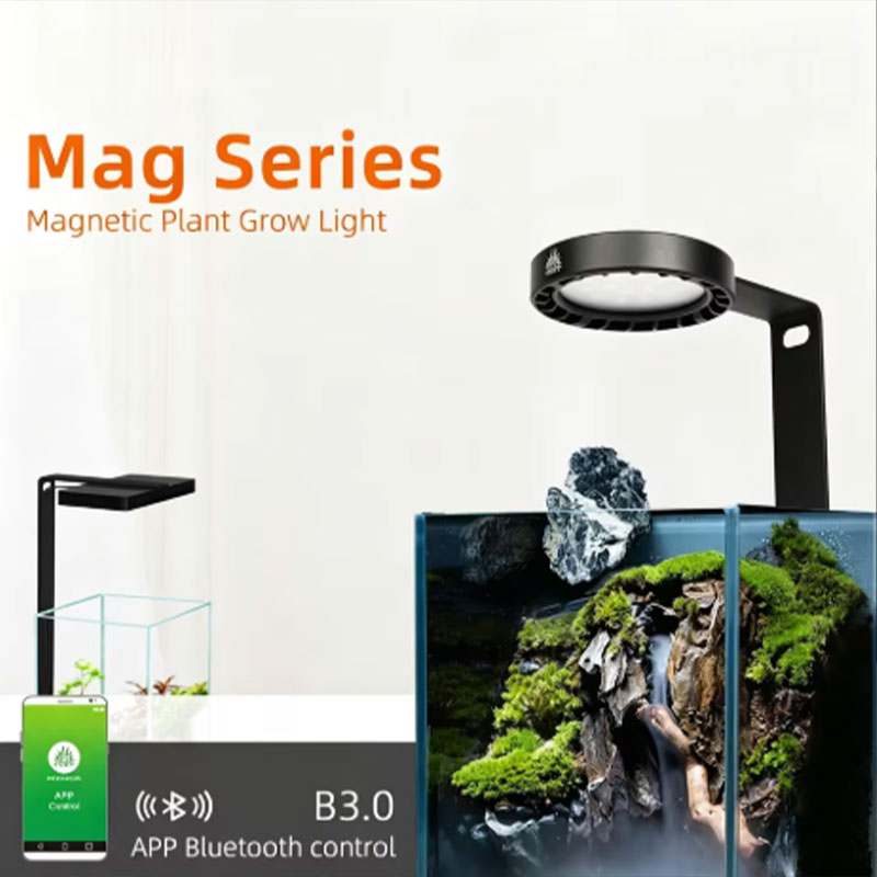 WEEK AQUA Mag Pro Mag Max Nano - Planted Aquarium Aquascape review and price