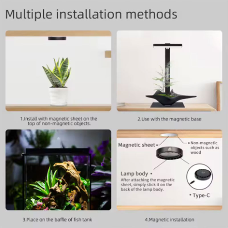 WEEK AQUA Mag Pro Mag Max Nano - Planted Aquarium Aquascape review and price