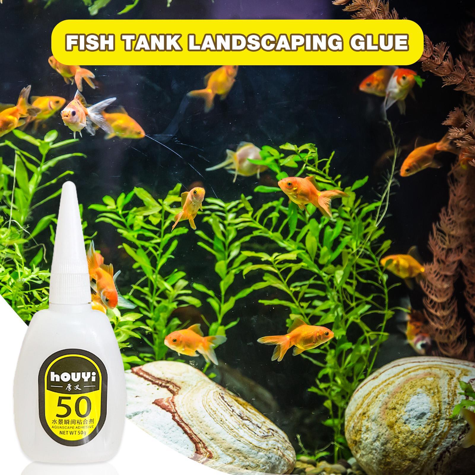 50/100g Clear Instant Glue Aqu - Planted Aquarium Aquascape review and price