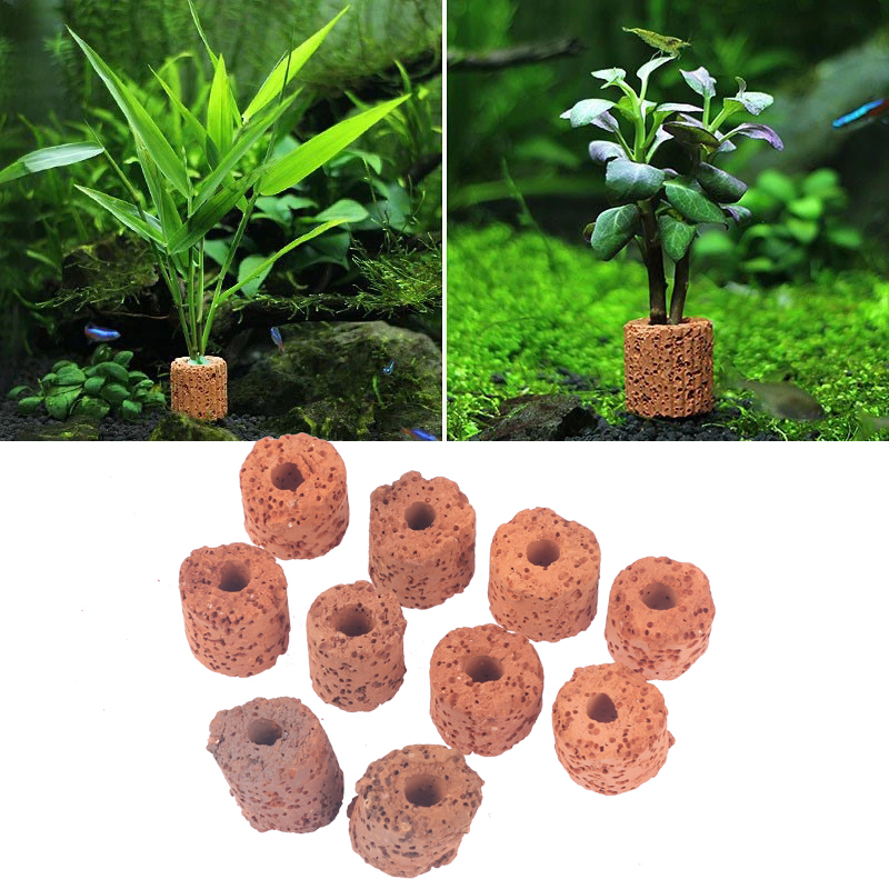 10Pcs Mini Aquatic Plant Ring  - Aquarium Planted Tank Setup review and price