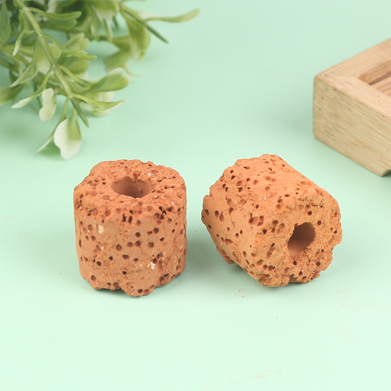 10Pcs Mini Aquatic Plant Ring  - Aquarium Planted Tank Setup review and price