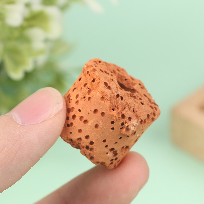 10Pcs Mini Aquatic Plant Ring  - Aquarium Planted Tank Setup review and price