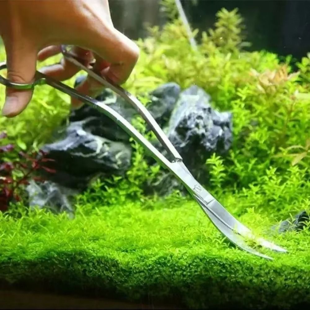 1Pcs Stainless Steel Aquarium  - Planted Aquarium Tools review and price