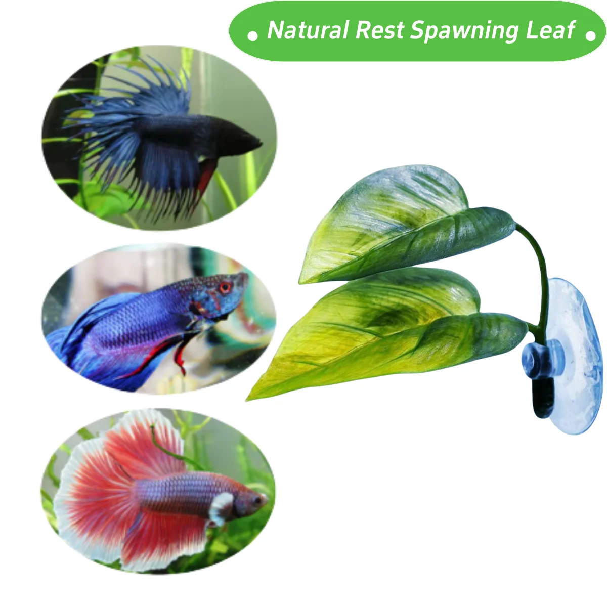 Pets Fish Tank Decor Betta Rel - Planted Aquarium Betta review and price