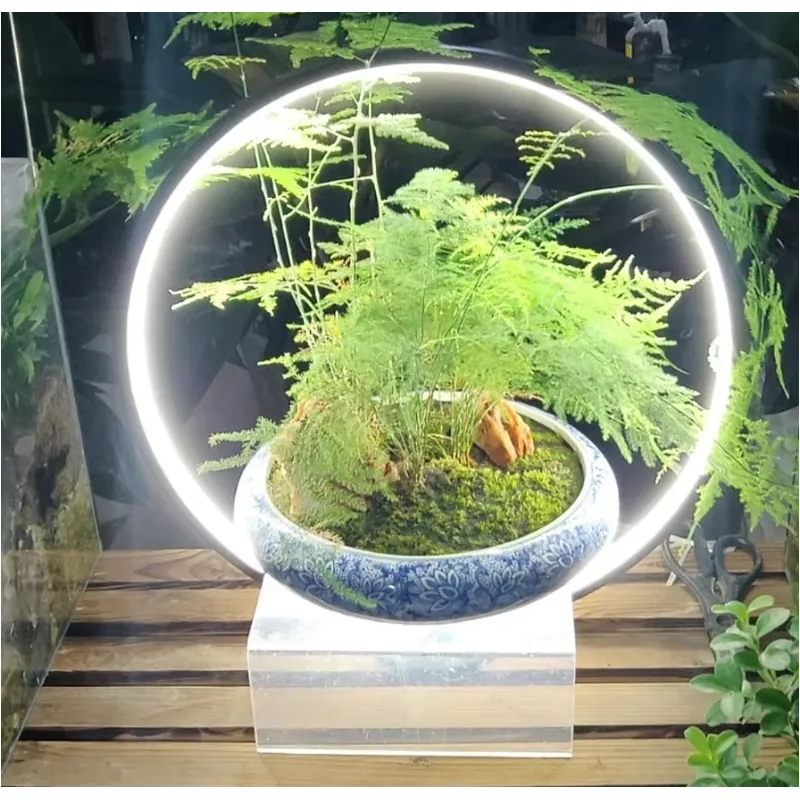 Desktop LED Aquarium Lamp for  - Planted Aquarium Hours review and price
