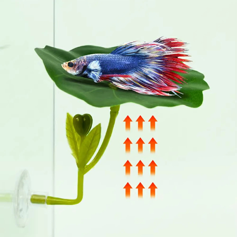 1Pc Green Leaf Hammock For Bet - Planted Aquarium Betta review and price