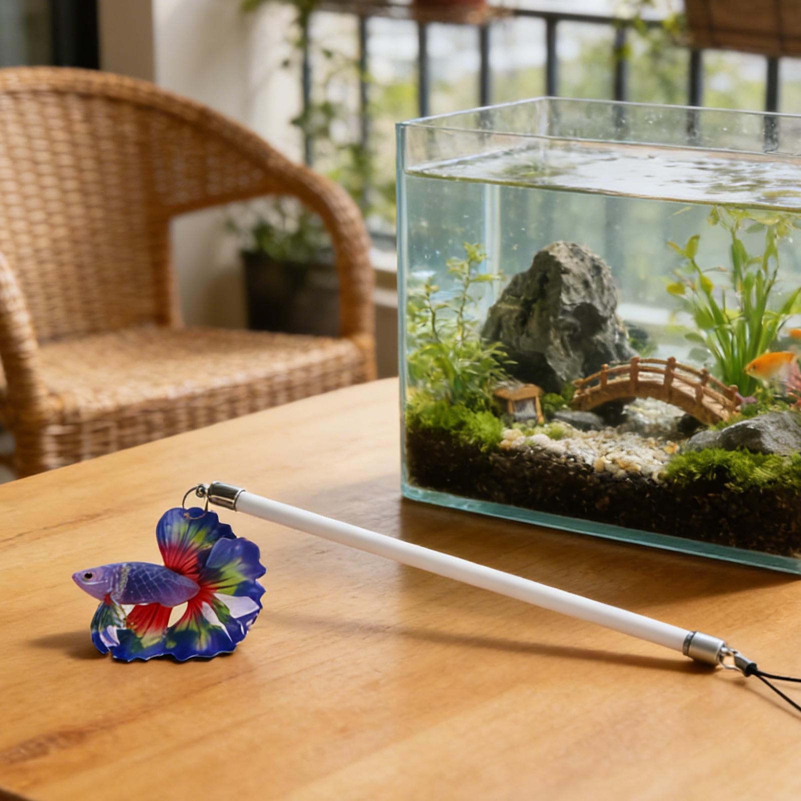 Fish Training Wand For Betta I - Planted Aquarium Betta review and price