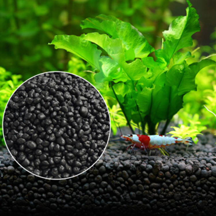 Aquarium Plant Seeds Soil Fish - Planted Aquarium Equipment review and price