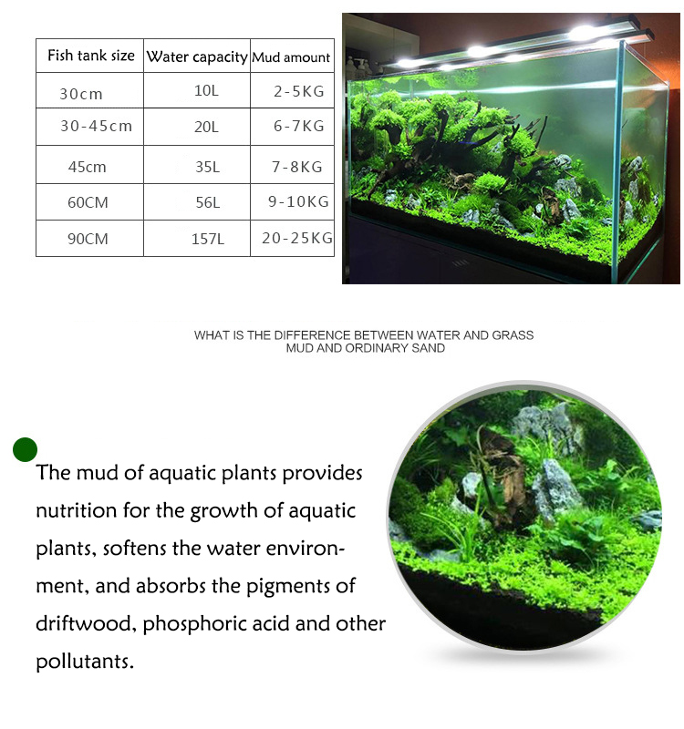 Aquarium Plant Seeds Soil Fish - Planted Aquarium Equipment review and price