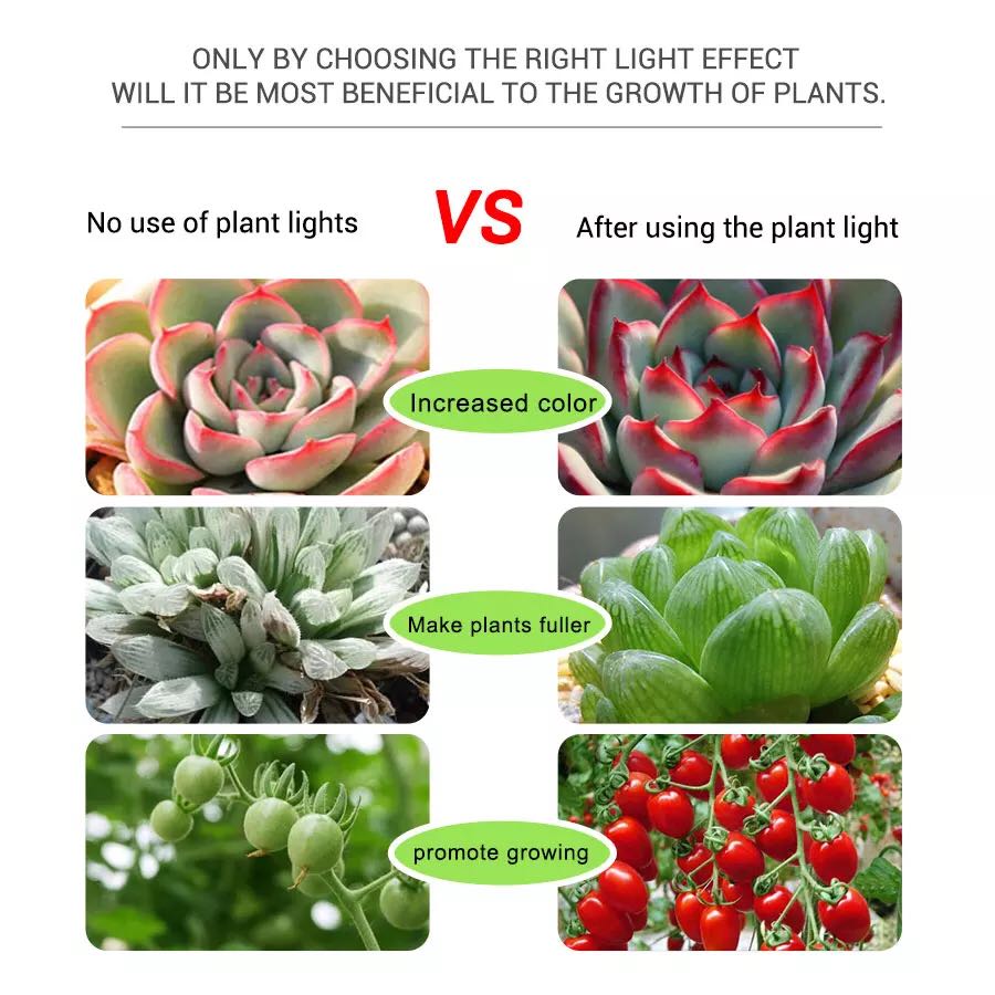 Full Spectrum 5V USB Plant Tap - Planted Aquarium Hours review and price
