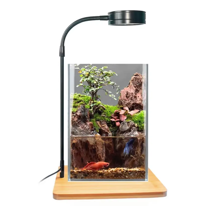 Desktop Decoration Timing Fish - Planted Aquarium Hours review and price