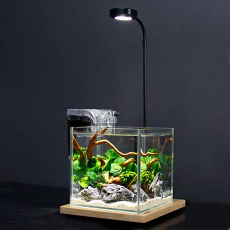 Desktop Decoration Timing Fish - Planted Aquarium Hours review and price