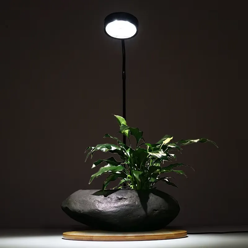 Desktop Decoration Timing Fish - Planted Aquarium Hours review and price
