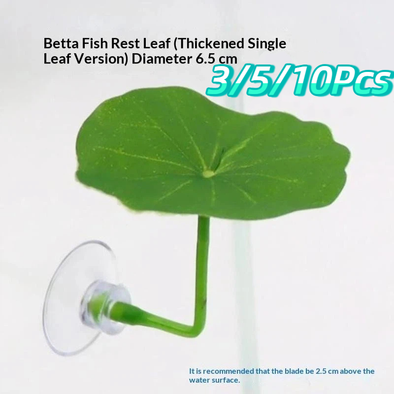 3/5/10 PCS Plastic Betta Rest  - Planted Aquarium Betta review and price