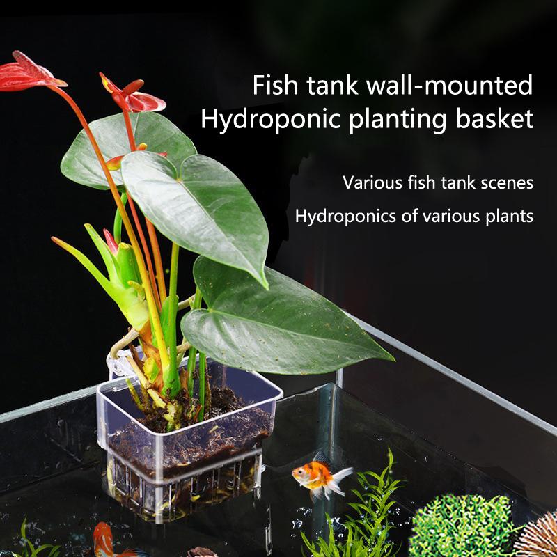 Aquarium Hydroponic Planting C - Aquarium Planted Tank Setup review and price