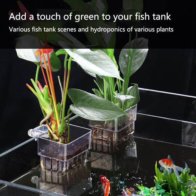 Aquarium Hydroponic Planting C - Aquarium Planted Tank Setup review and price