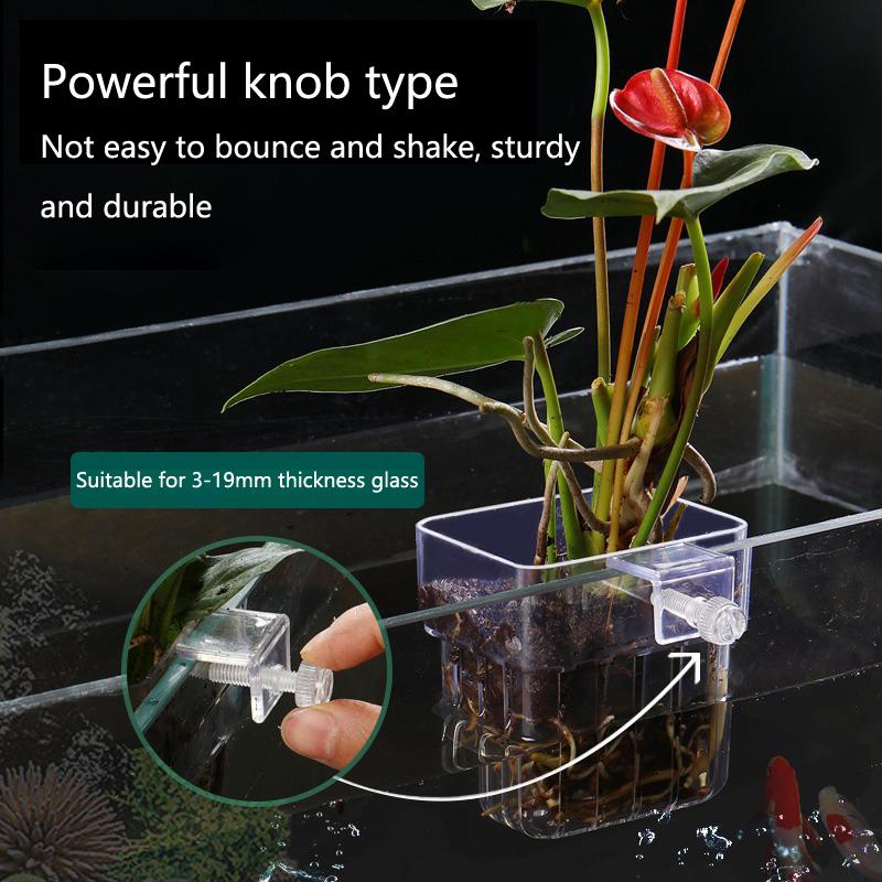 Aquarium Hydroponic Planting C - Aquarium Planted Tank Setup review and price